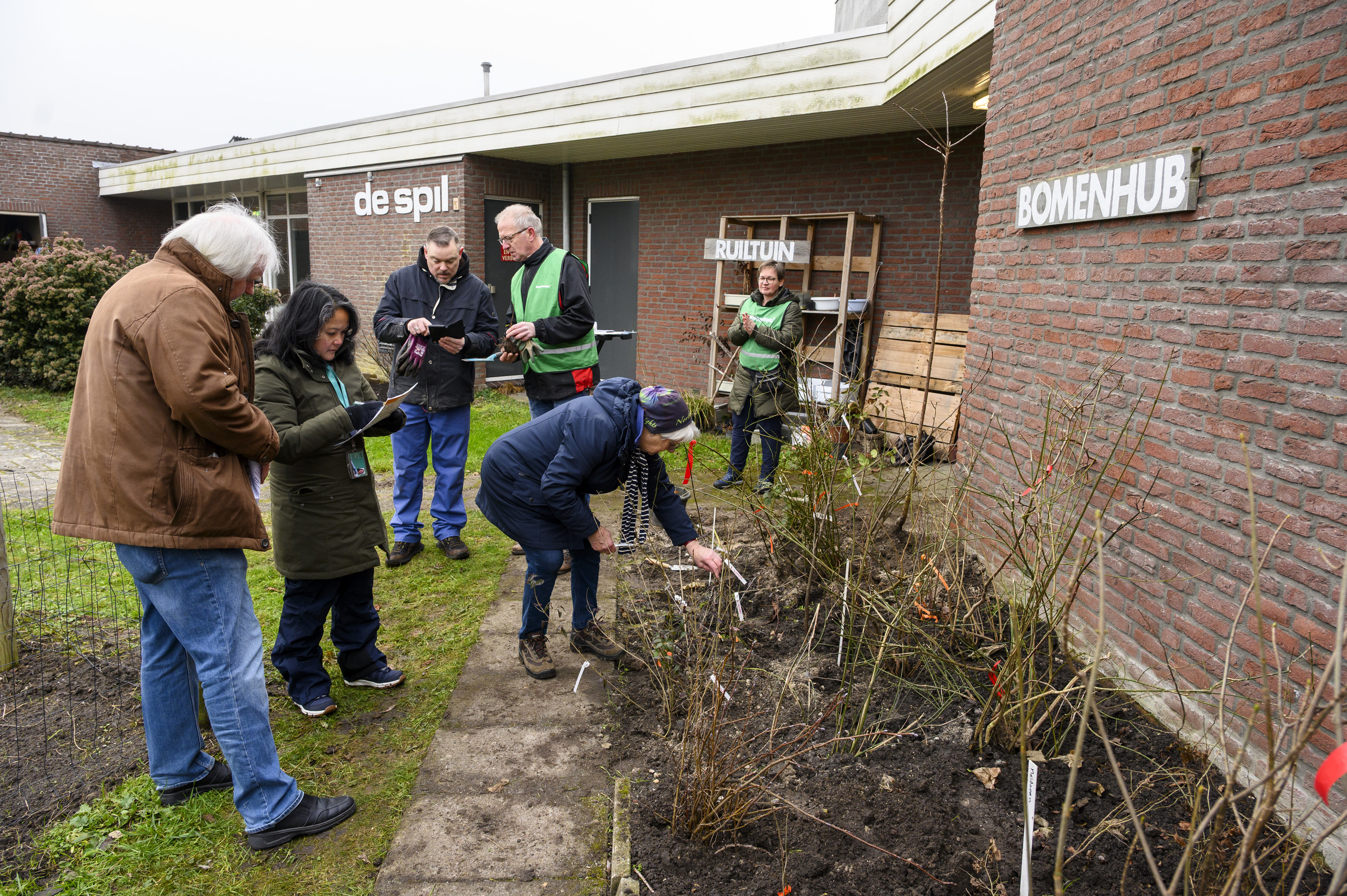Uitgifte zaailingen bomen