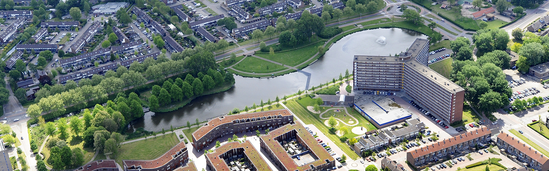 Header Kokardebloem Vijverpark