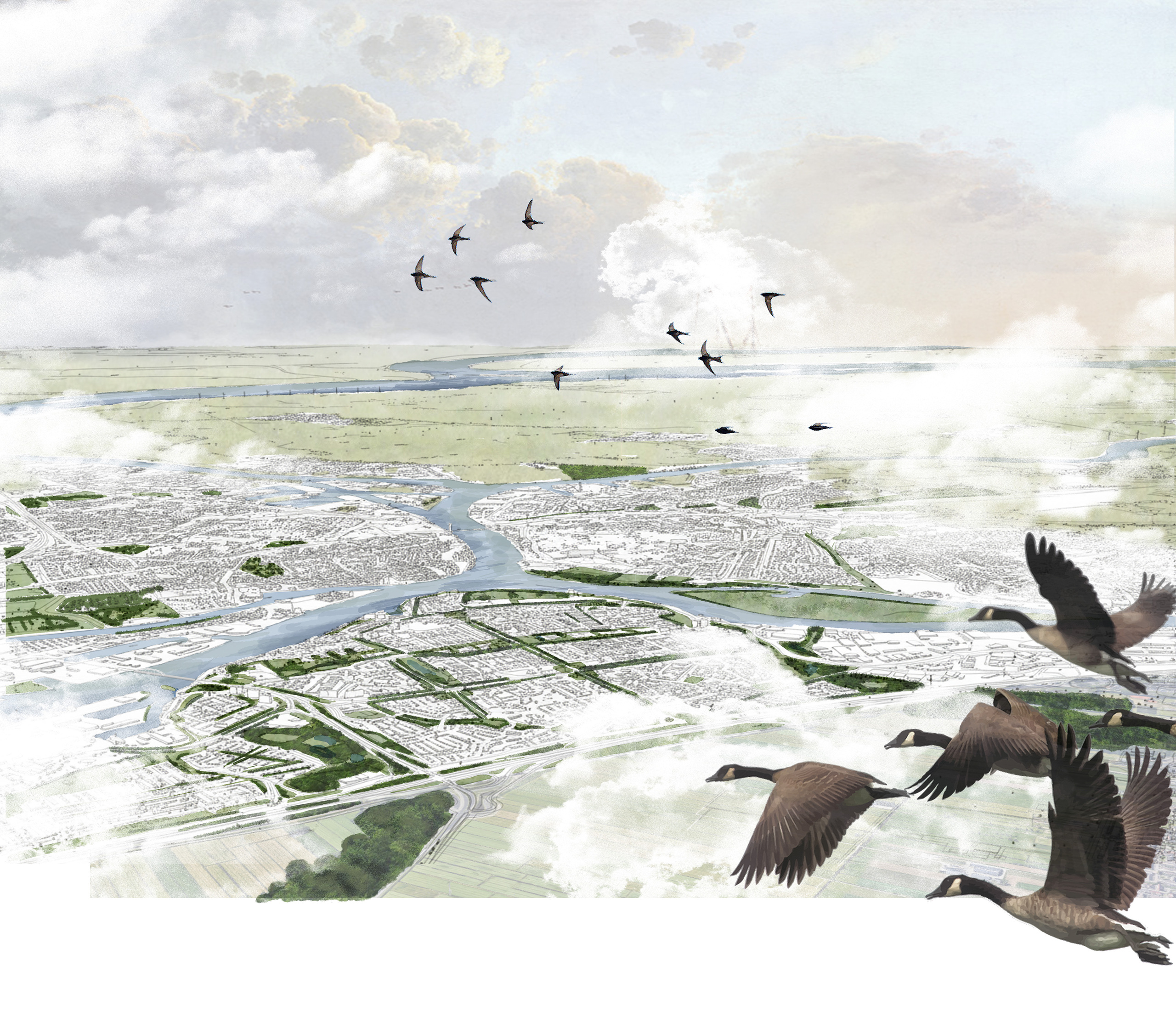 Vogelvlucht